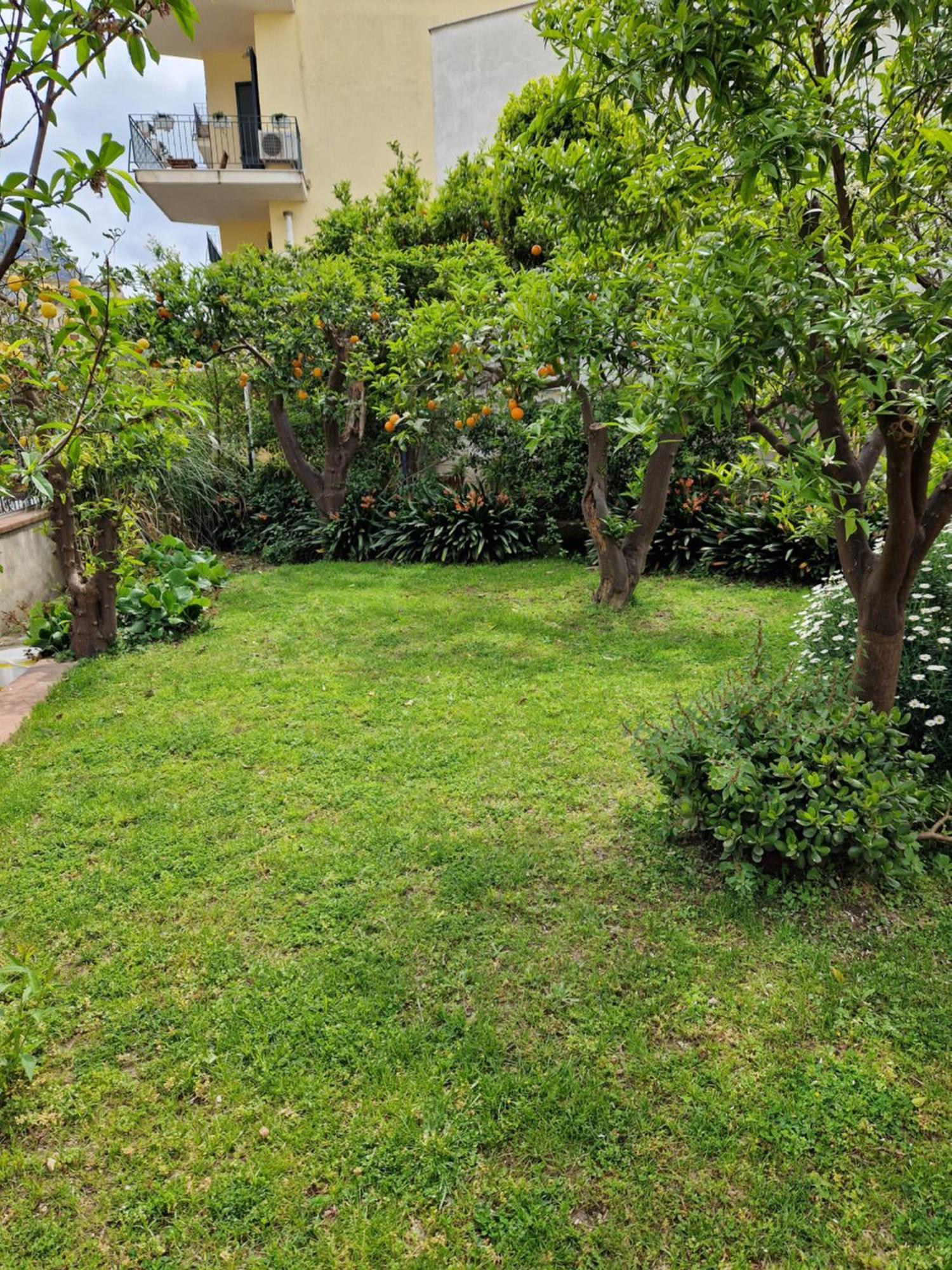 Il Giardino Dei Gigli Apartment Meta Exterior photo